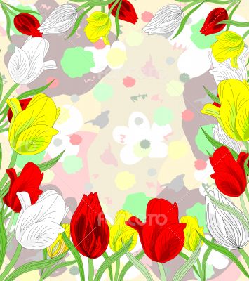 Beautiful red, white and yellow tulips blooming on an abstract b