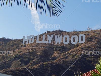 hollywood signs