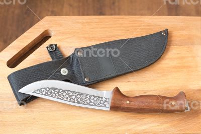 Beautiful hunting knife and a case for the knife.