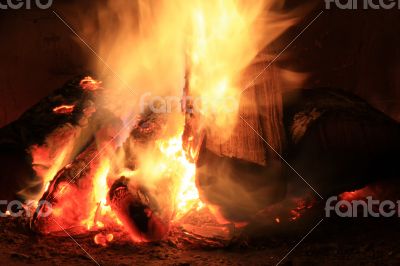 Bright fire in the fireplace. Burning wood photographed close.