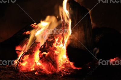 Bright fire in the fireplace. Burning wood photographed close.