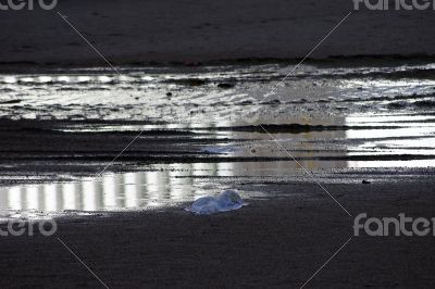 Silver-colored puddle