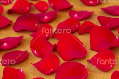 The red rose petals.