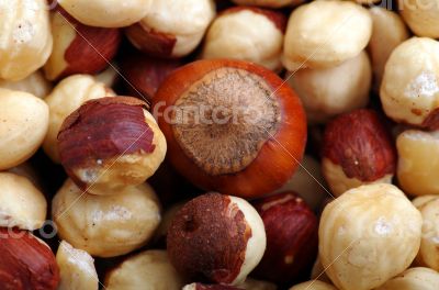 Background from various kinds of nuts