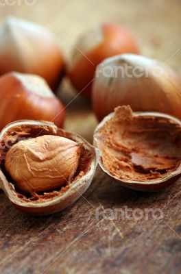 Hazelnuts, filbert on old wooden background 