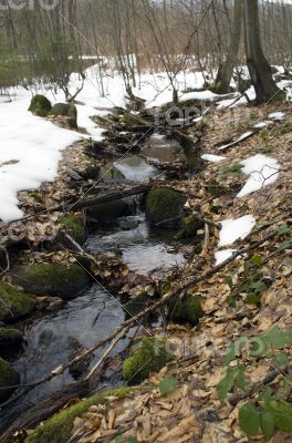 River bank and in clear water of stream. Winter is beginning at 