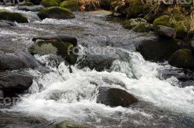 River bank and in clear water of stream. Winter is beginning at River bank and in clear water of stream. Winter is beginning at