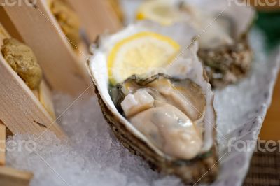 Japanese style oyster and sea urchin