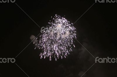 Colorful firework in the black night sky Colorful firework in the black night sky