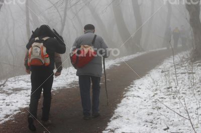 People walking by misty road in the park