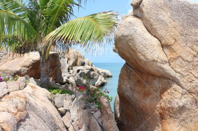 stones on the beach