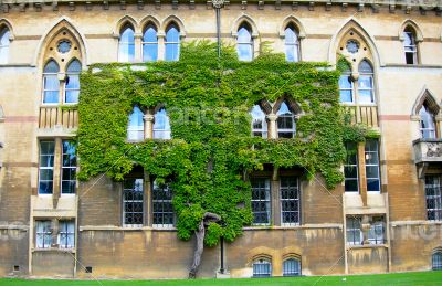 Oxford University 5