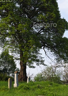 Countryside cemetery