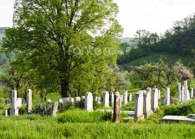 Countryside cemetery with green grass and trees