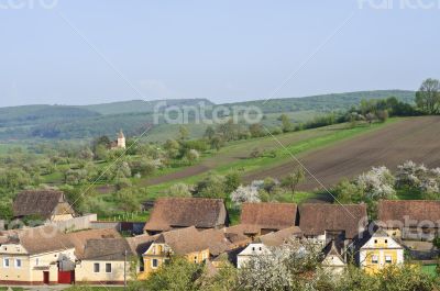 Old houses in a village in Transylvania