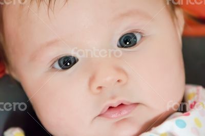 Cute newborn infant