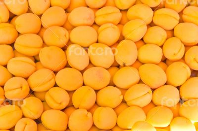 Background yellow apricots Background yellow apricots