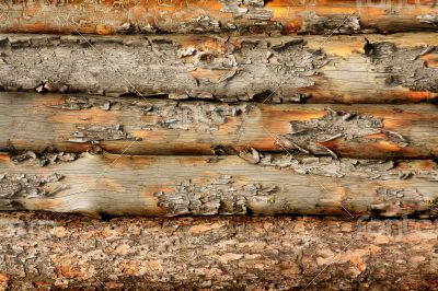 Old wooden fence