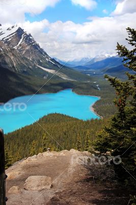 Peyto Lake in Banff National Park, Canada Peyto Lake in Banff National Park, Canada