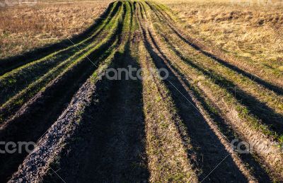 Countryside road overgrown with grass