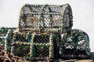 Lobster Baskets