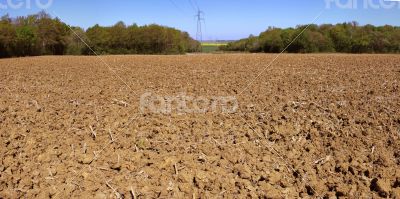 Agricultural land Agricultural land
