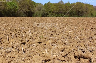 Agricultural land