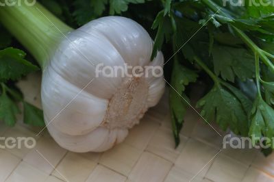 Fresh garlic
