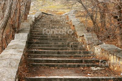 Old stone stairs leading up in autumn park