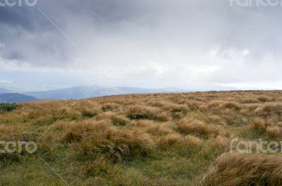 Autumn evening mountain plateau landscape (Carpathian, Ukraine) 