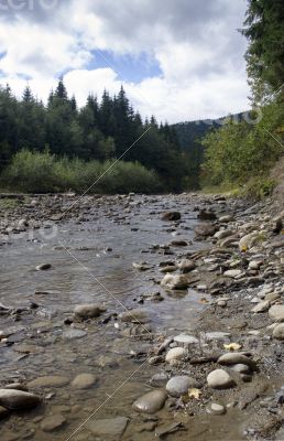 Flowing water of Carpathian mountain stream 