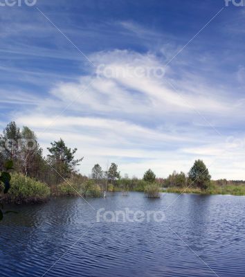 lake and spring forest. Nature composition