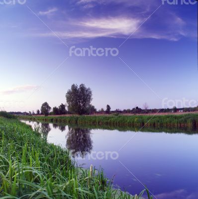 Spring landscape with yellow flower on hill and majestic sunset 