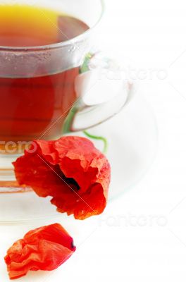 Poppy in glass cup on white table 