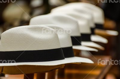 Panama hats