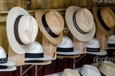 Panama hats