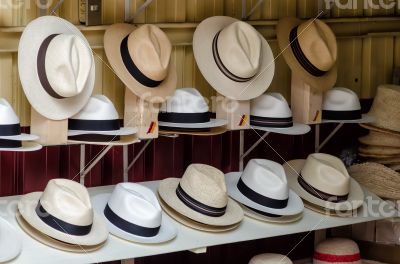 Panama hats