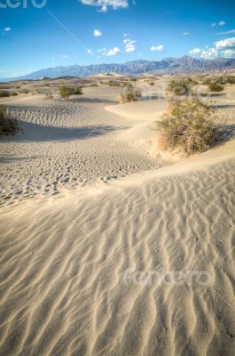 Death Valley natural sand dunes