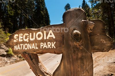 Sequoia sign