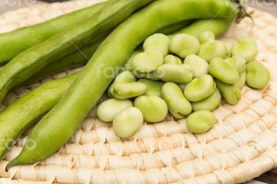 Fresh green beans