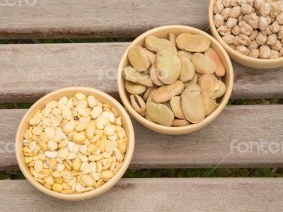  Fabaceae in the clay dishes