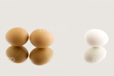 Brown and white eggs