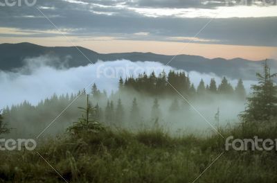 evening mountain plateau landscape (Carpathian, Ukraine) 