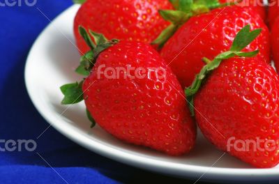 Healthy red strawberry fruit  isolated on the blue background 