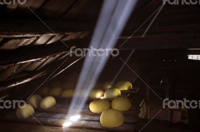 view of an inside of a dairy with racks full of forms of chees