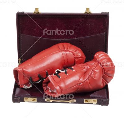 Boxing Gloves in a Briefcase