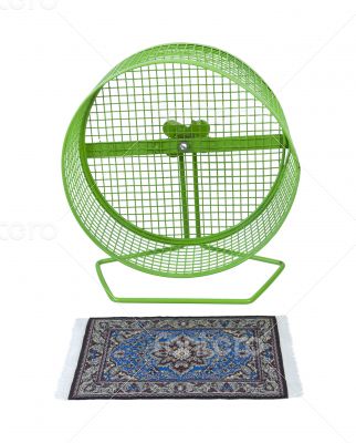 Colorful Rug in Front of Exercise Wheel Colorful Rug in Front of Exercise Wheel