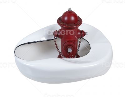 Fire Hydrant and Bed Pan