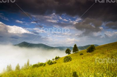 evening mountain plateau landscape (Carpathian, Ukraine) 