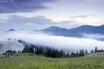 evening mountain plateau landscape (Carpathian, Ukraine) 